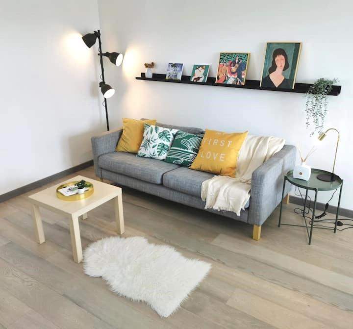 CHIC 2CHAMBRES,70m²+balcon+parking+WIFI 南特 外观 照片